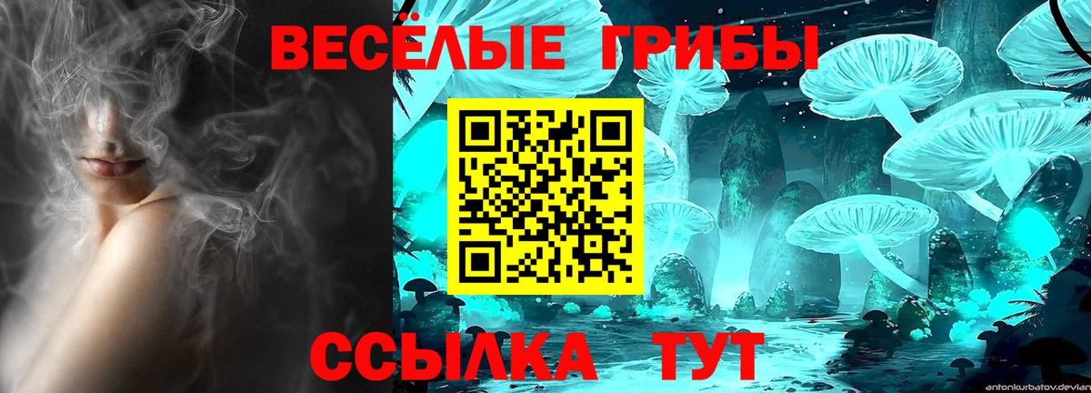 Псилоцибиновые грибы прущие грибы  Вход с VPN  Чебоксары 